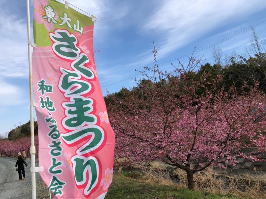 の 桜 河津 山 東大 浜松市のお花見スポットへ行こう！桜の名所9選と桜祭りや夜桜情報も♪